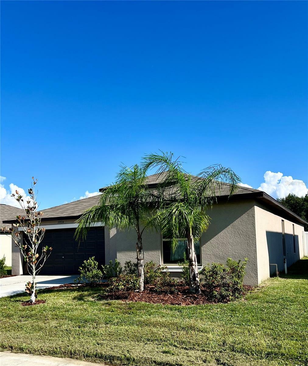 39724 Harmon Grove Court  Zephyrhills FL 33540 photo