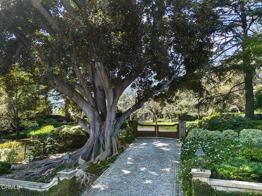 Property Photo: 505 S Grand Avenue CA 91105