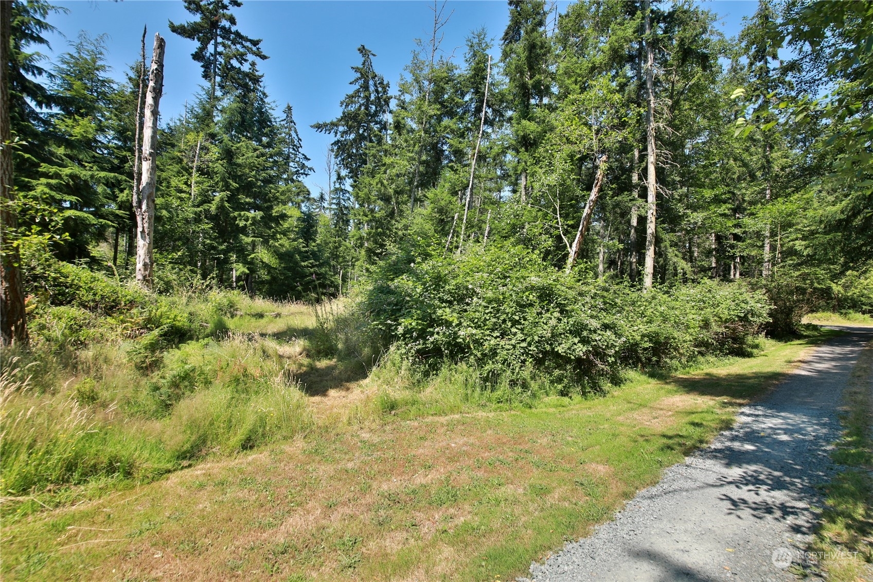 Property Photo:  0 Evergreen Lane  WA 98249 