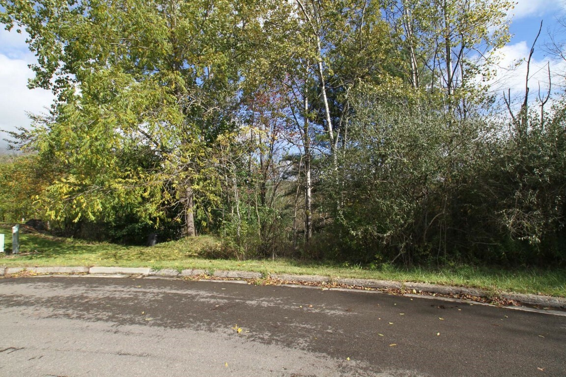 Property Photo:  1201 Lot # 2 Domenica Drive  NY 13760 