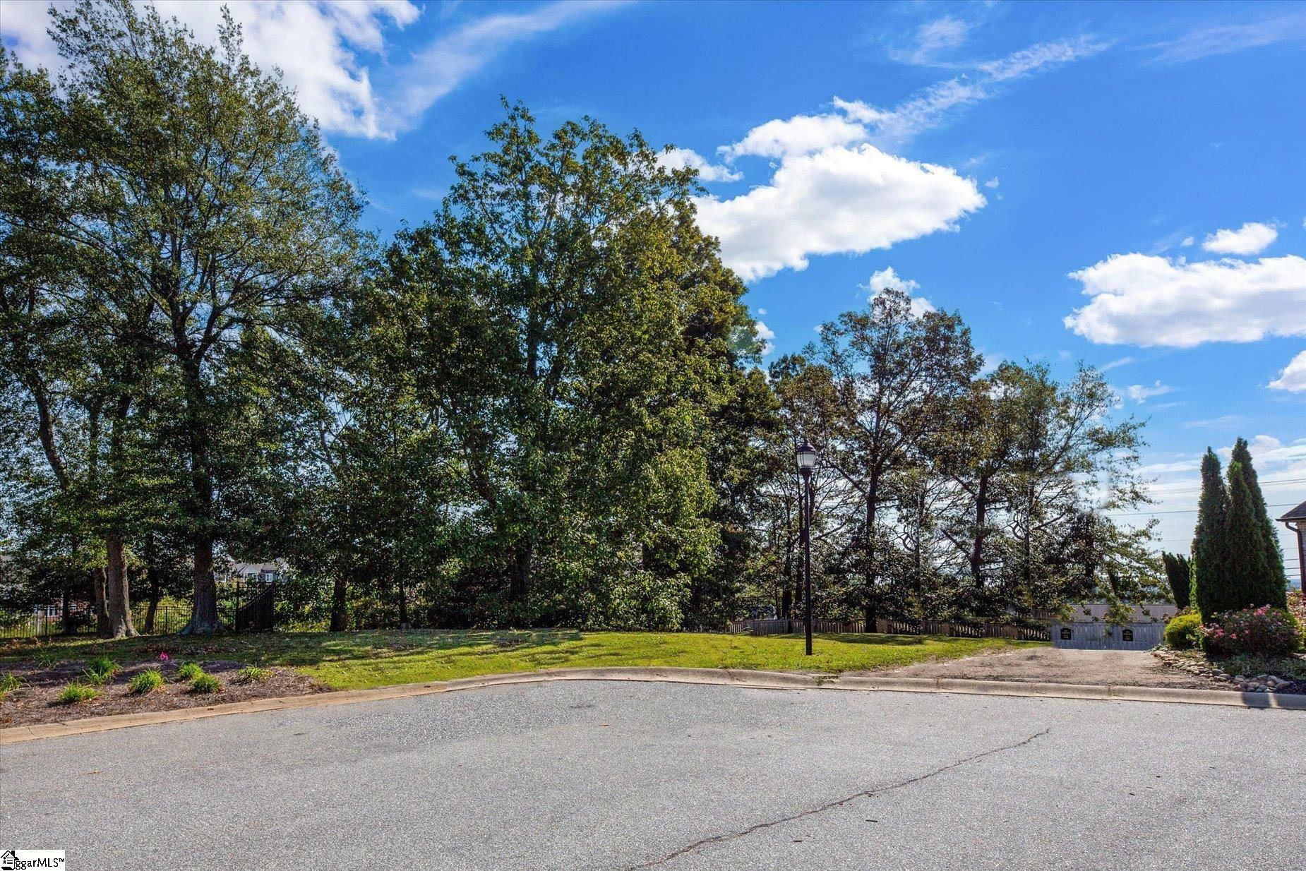 Property Photo:  0 Lowther Hall Lane  SC 29615 