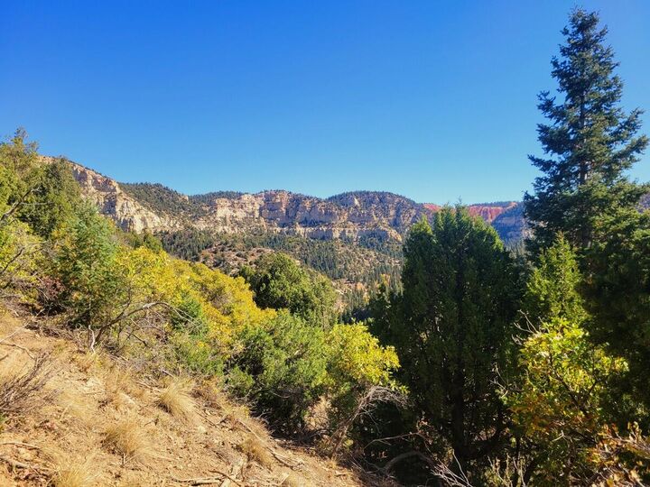 Property Photo:  Lot 22 Bonnie Green Dr  UT 84762