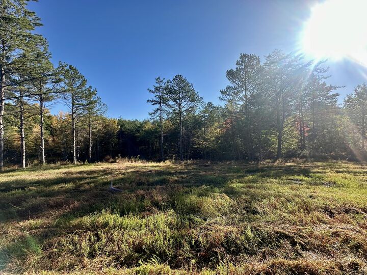 Property Photo:  424-D W 577 Highway Tract 6  KY 40962 