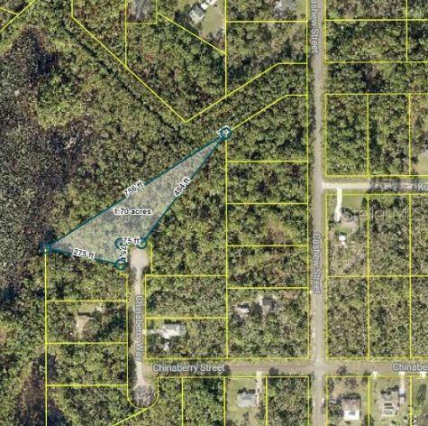 Property Photo:  Tbd Chinaberry Way  FL 32736 