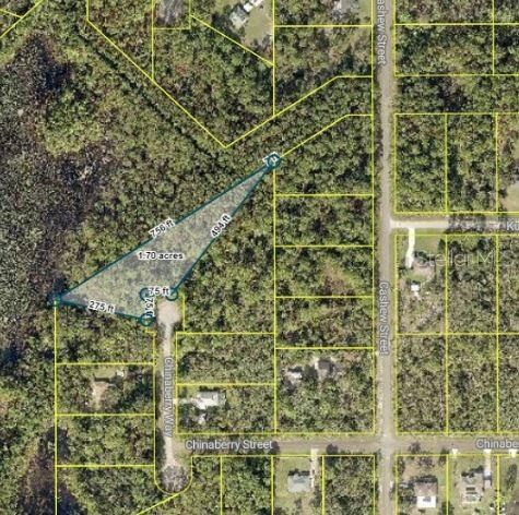 Tbd Chinaberry Way  Eustis FL 32736 photo