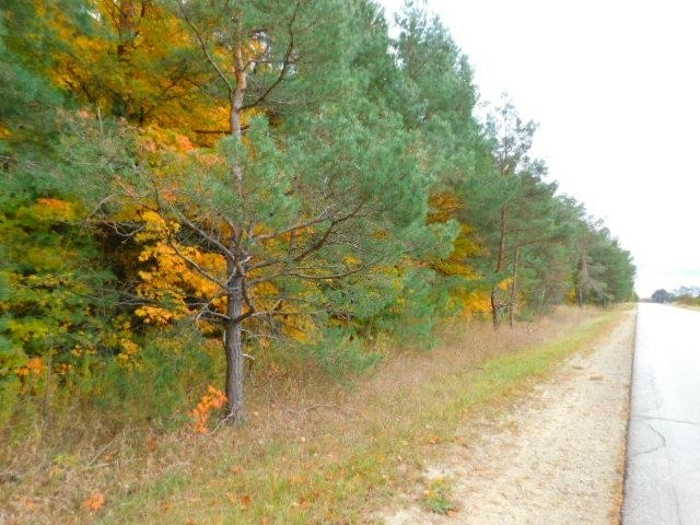 Property Photo:  N Sharon Road  MI 49646 