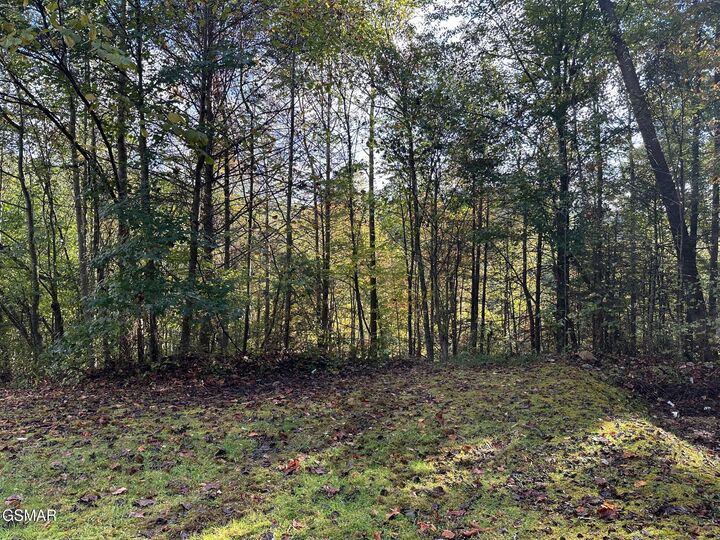 Property Photo: Lot 1 Mountain Dreams Way TN 37862