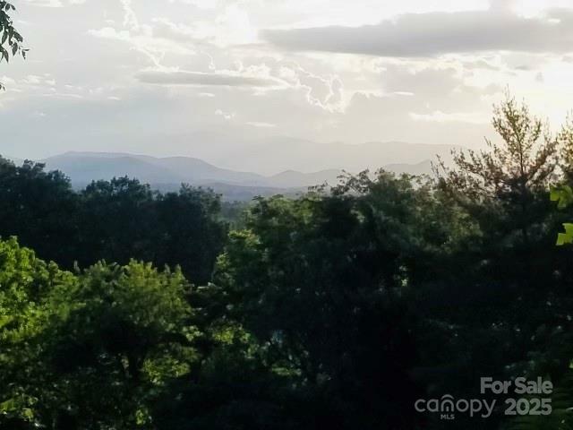 Property Photo: 427 Weaverville Road NC 28804