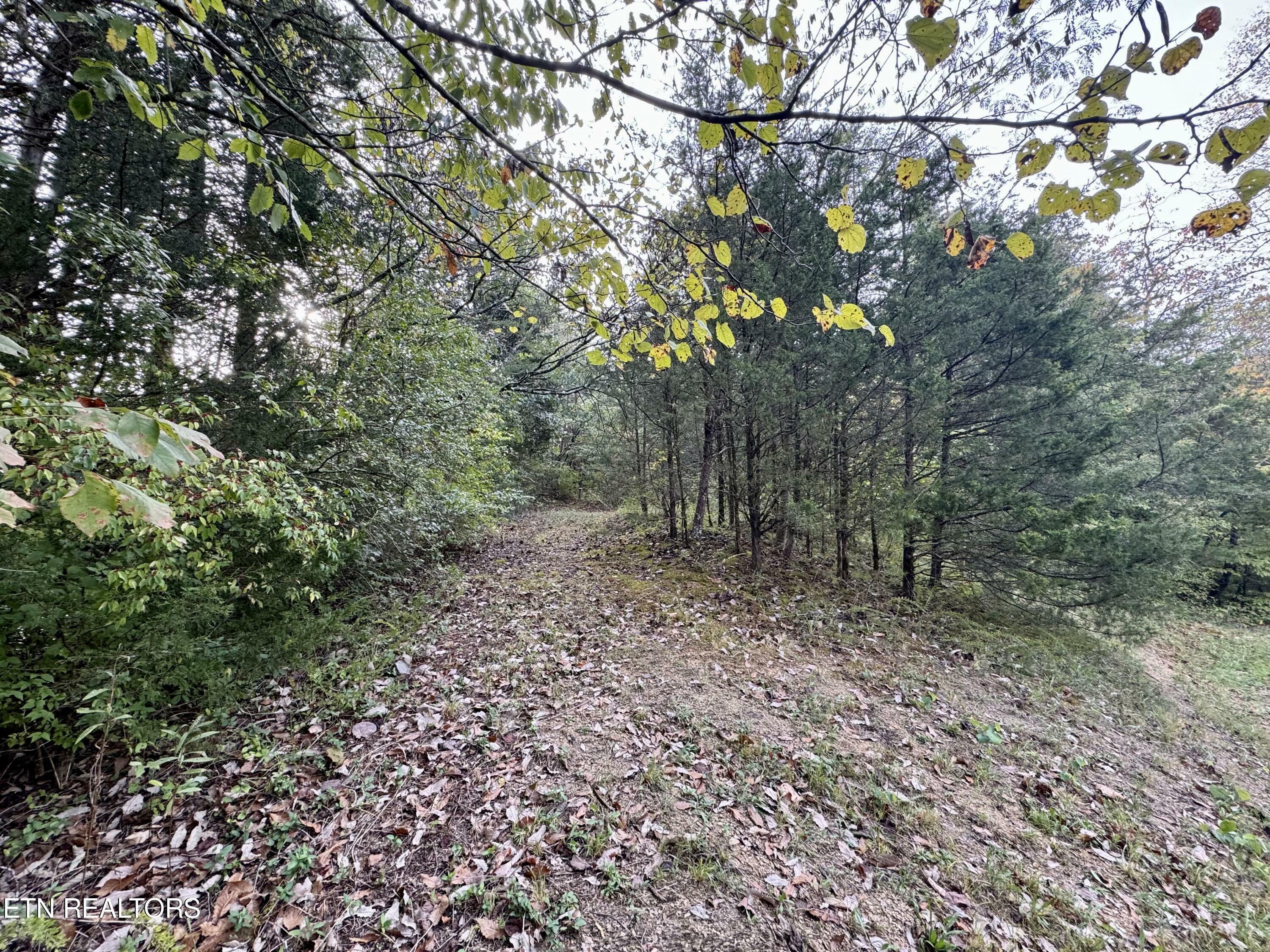 Property Photo:  Lot 18 Heatley Ln  TN 37862 