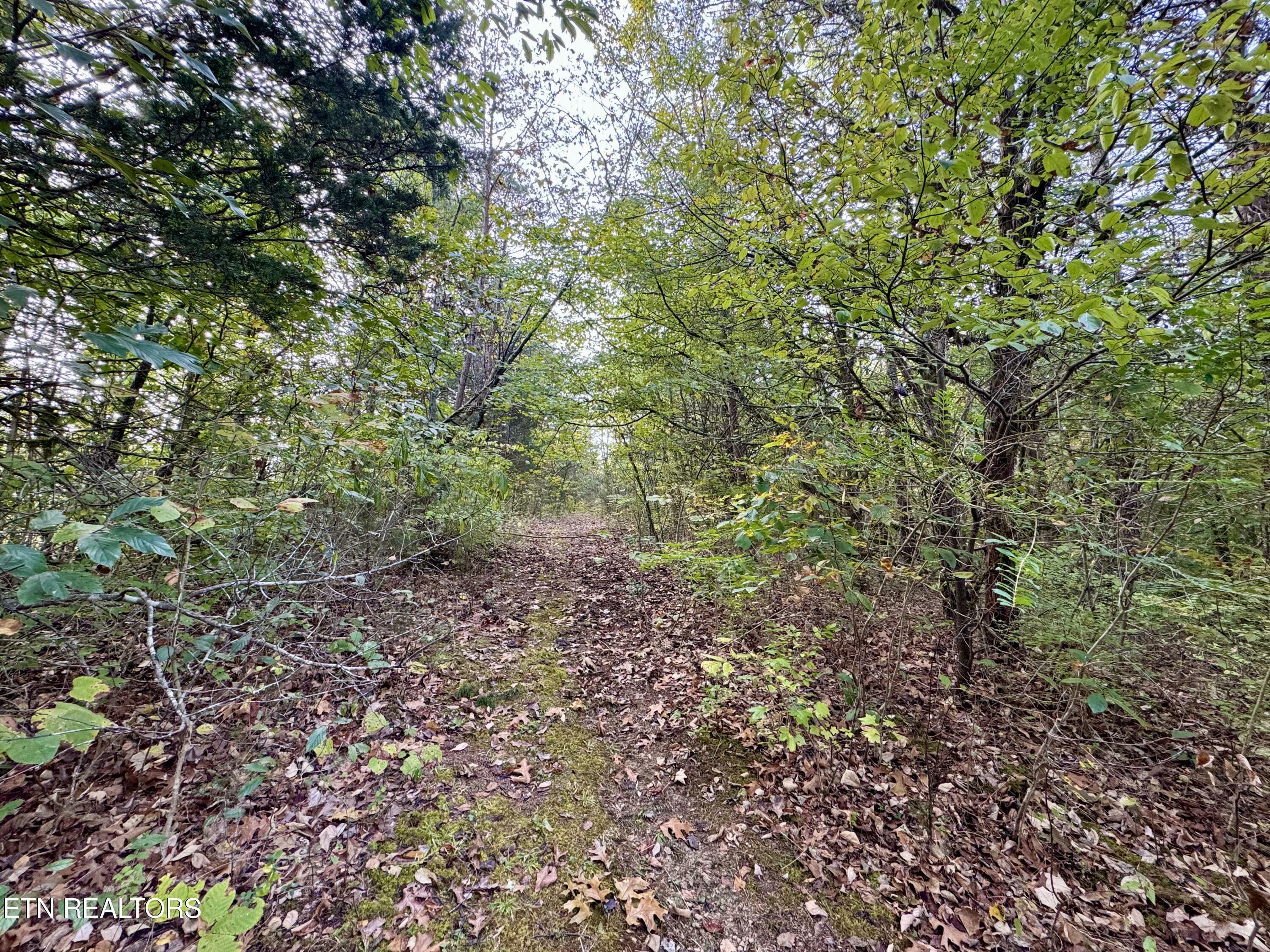 Property Photo:  Lot 18&19 Heatley Lane  TN 37862 