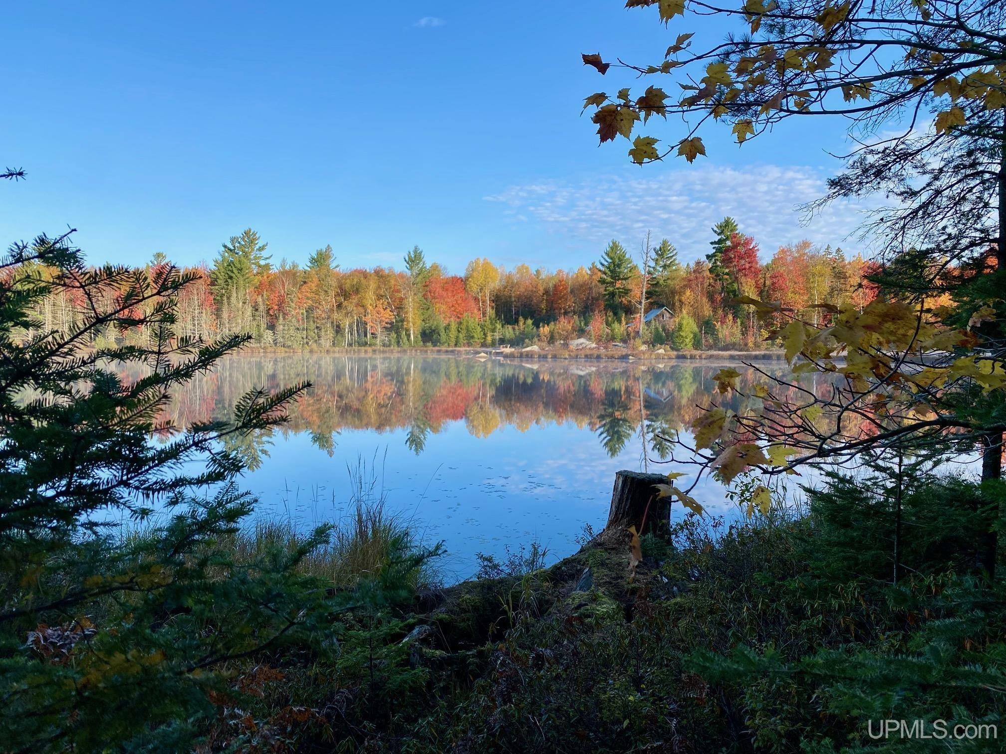 Property Photo:  Tbd Big Rock Road  MI 49814 