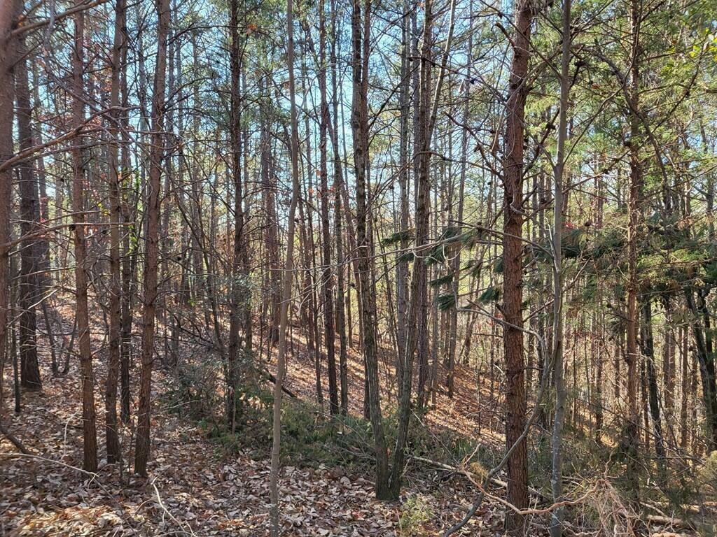 Property Photo:  13900 S Hwy 411 Road  GA 30705 