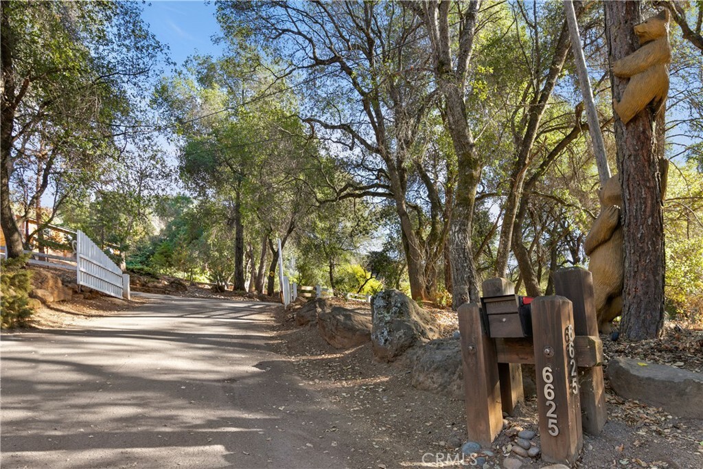 Property Photo:  6625 Soda Bay Road  CA 95451 