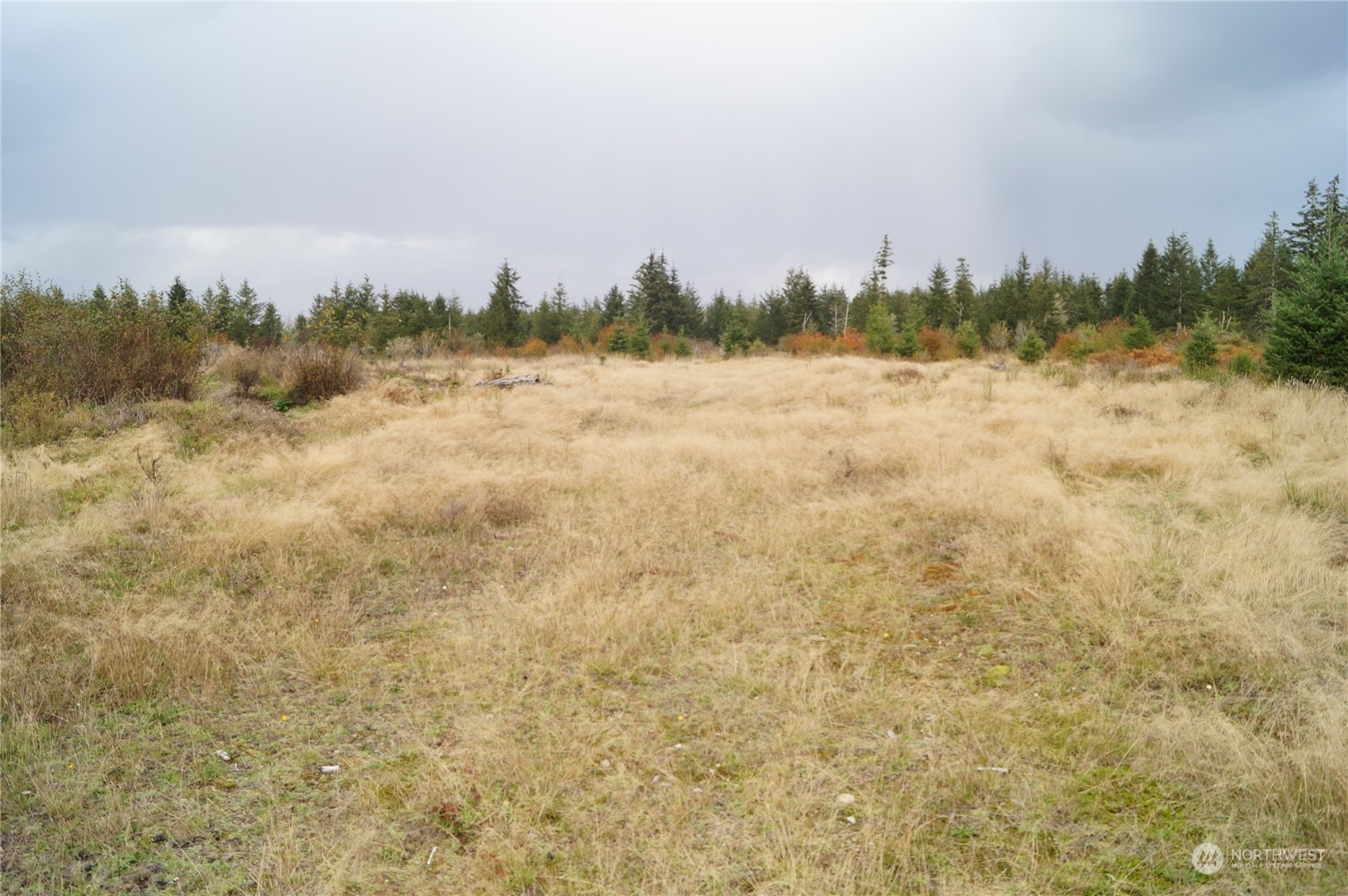 Property Photo:  0 Off Of W Ford Loop Road  WA 98541 