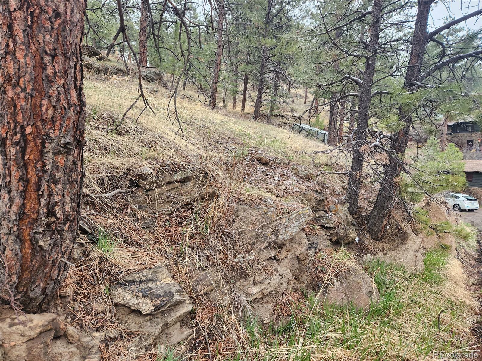 Property Photo:  000 Forest Hill Road  CO 80439 