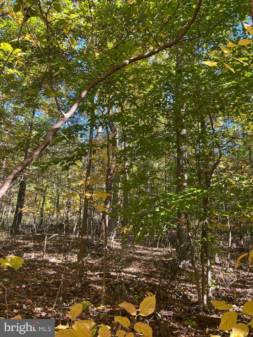 Property Photo:  Lot 2 Big Spring Road  PA 17070 