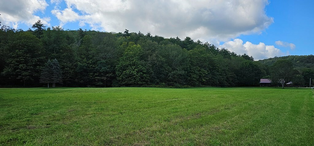 Property Photo:  0 Mile Lane Road  PA 18840 