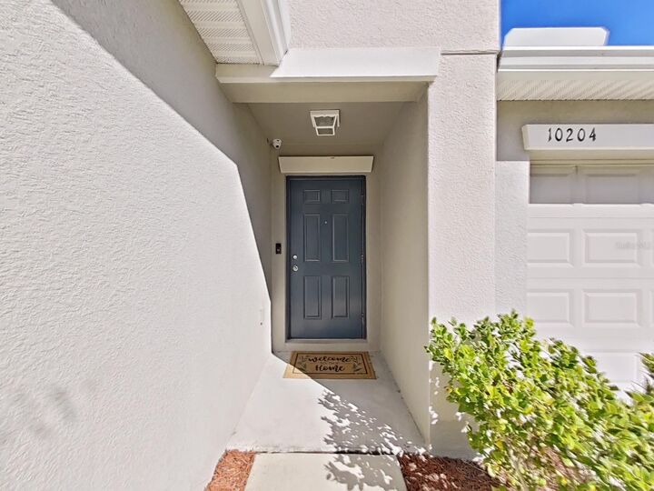 Property Photo:  10204 Strawberry Tetra Drive  FL 33578 