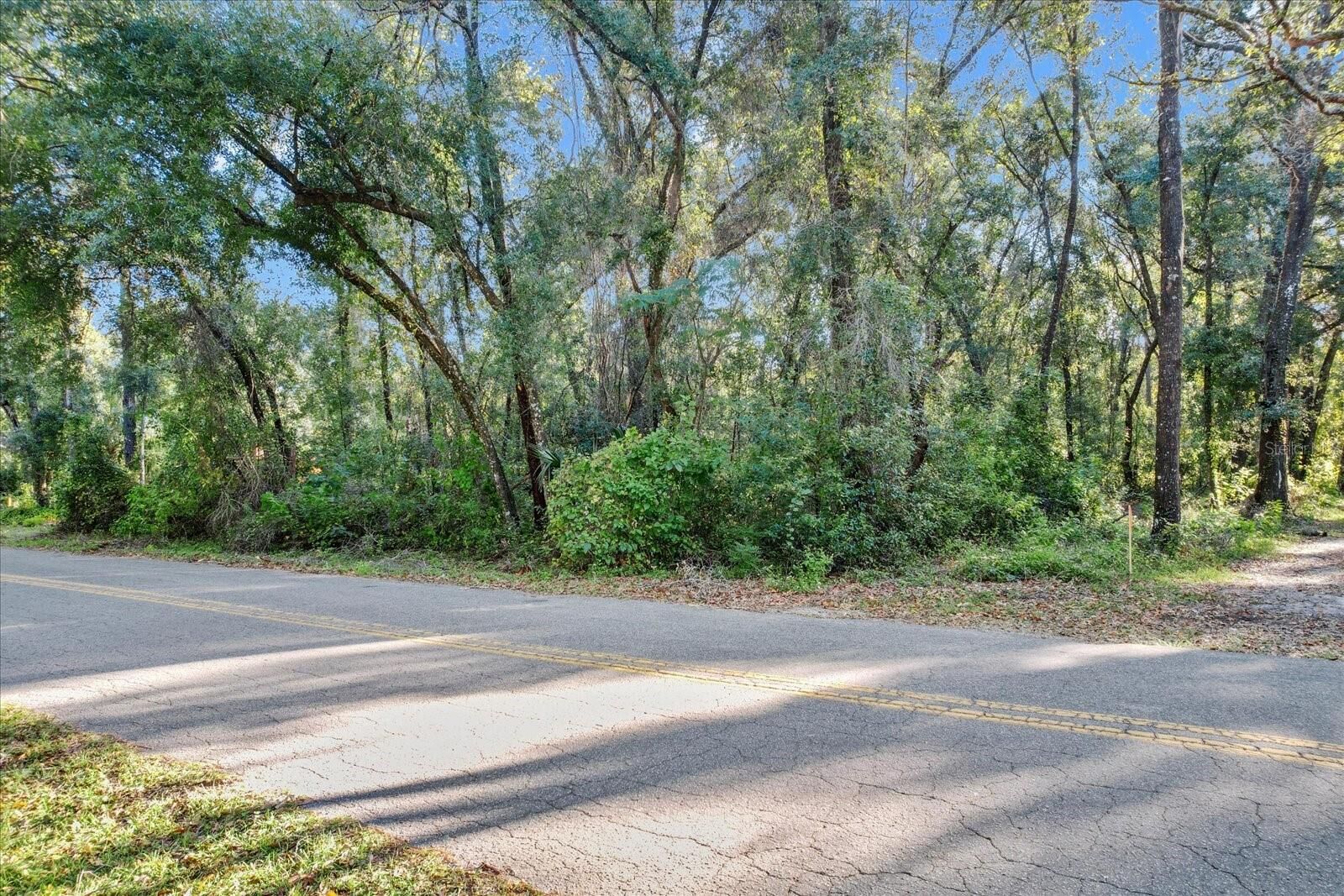 Property Photo:  4223 S William Avenue  FL 34452 