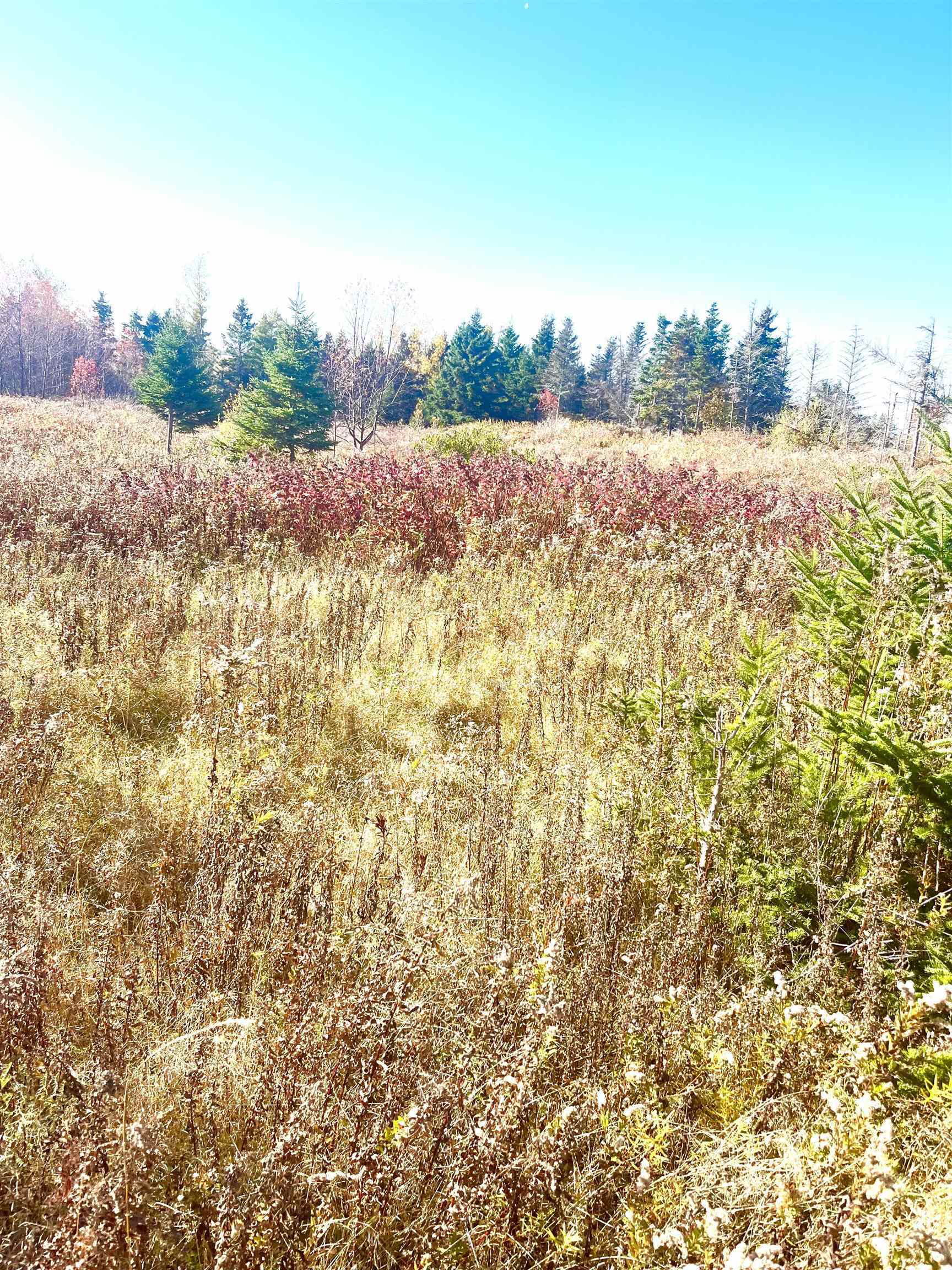 Property Photo: Selkirk Park Road Lot 2 PE C0A 1A0