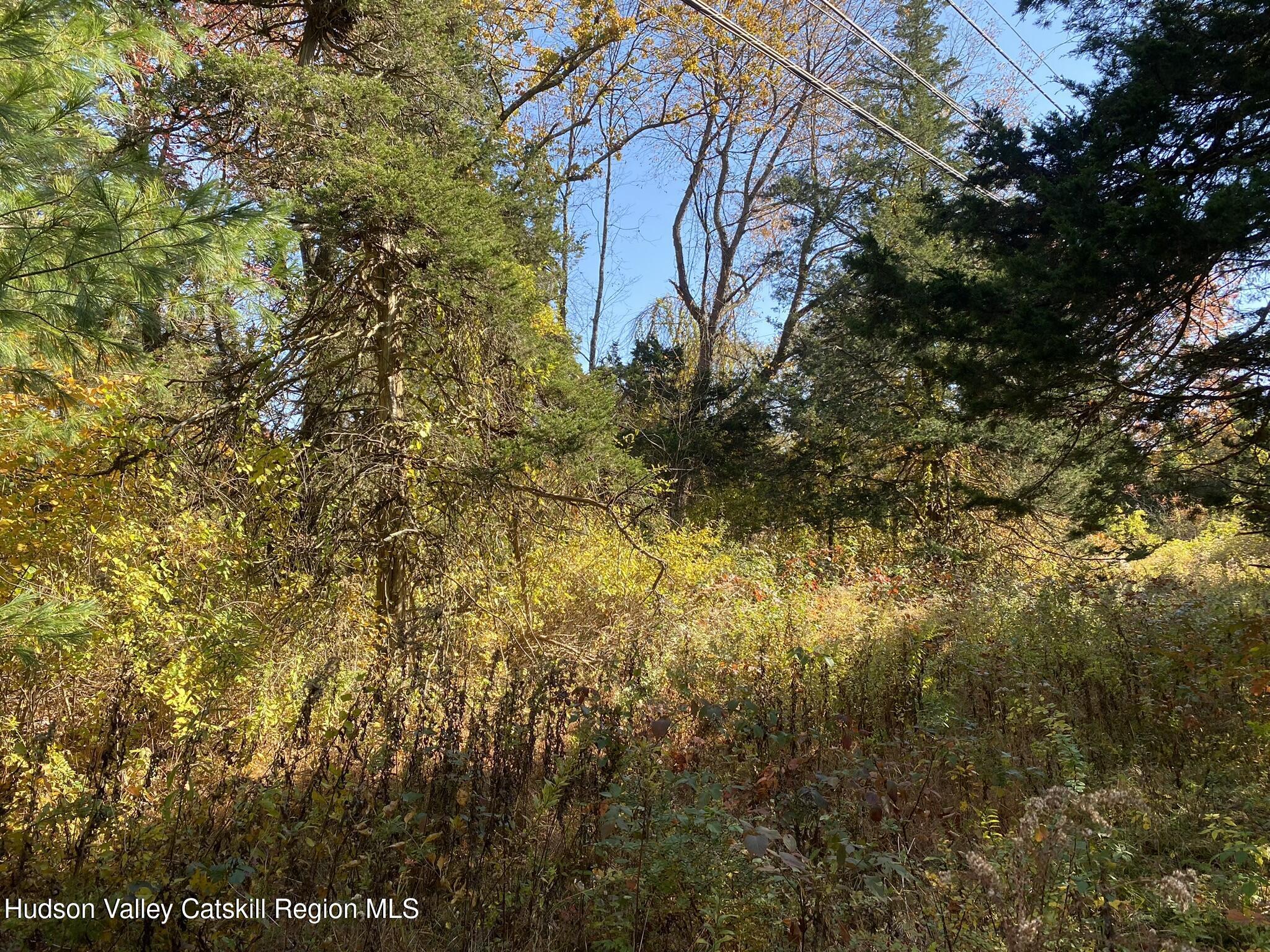 Property Photo: 0 Beaver (Jackson Crs) NY 12567