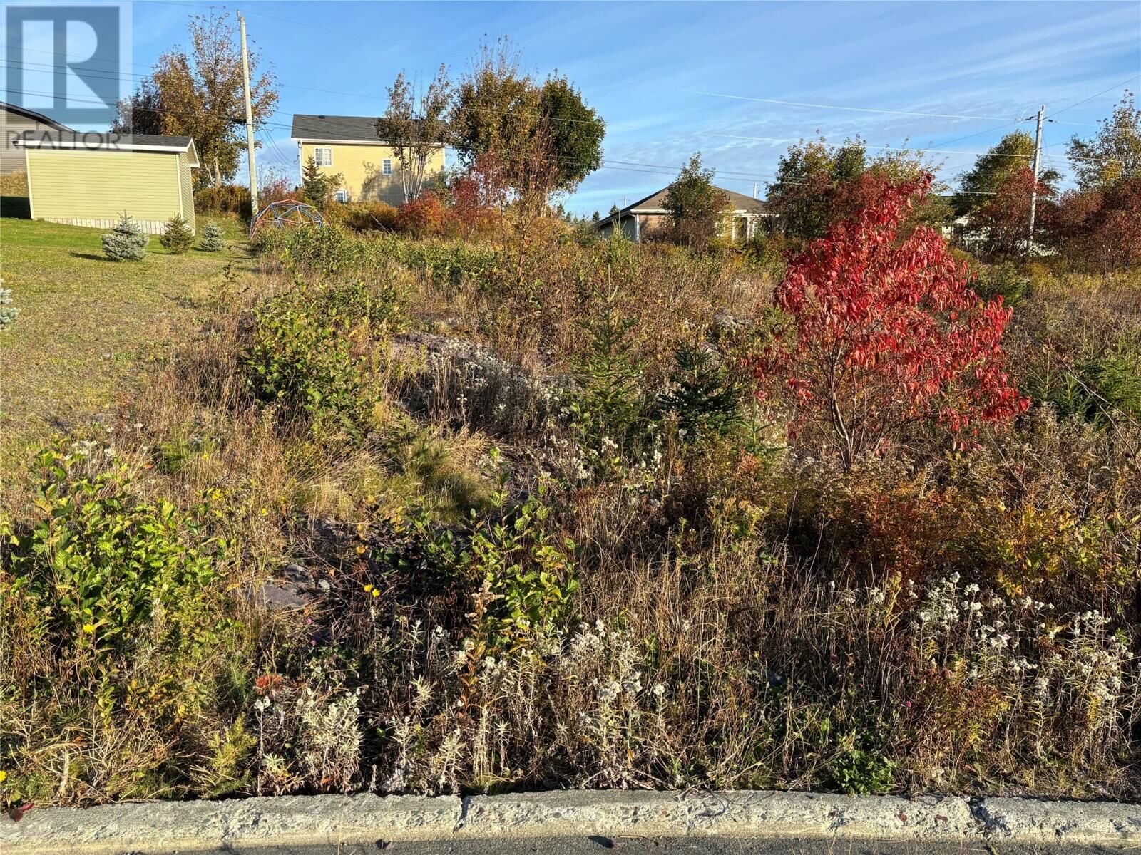Property Photo:  59 Badcock Boulevard  NL A0A 1G0 