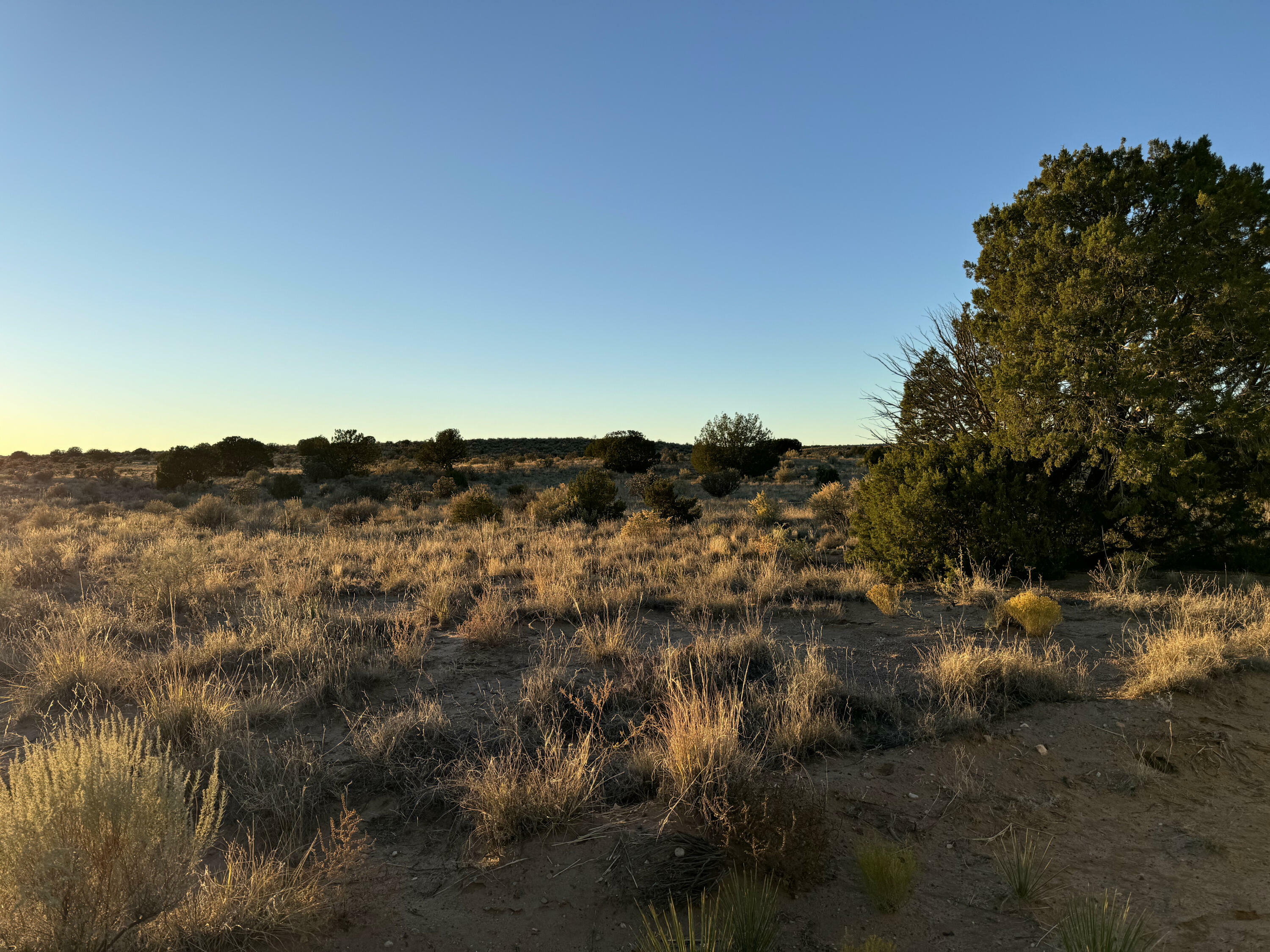 Property Photo:  13th Court NW  NM 87144 