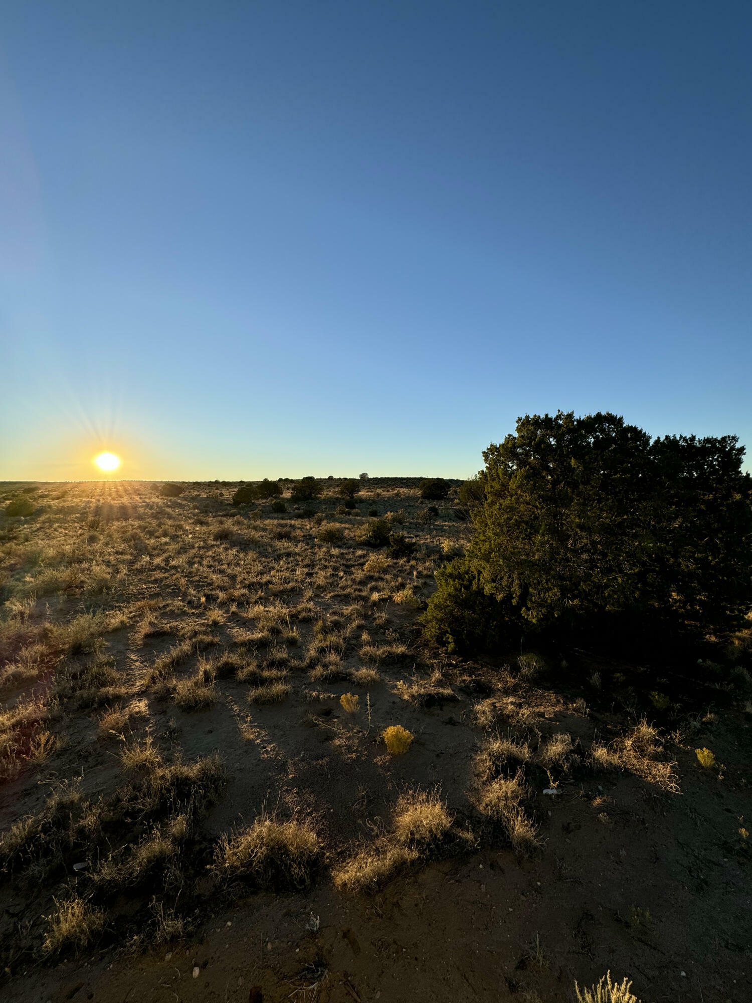 Property Photo:  Sable Road NW  NM 87144 