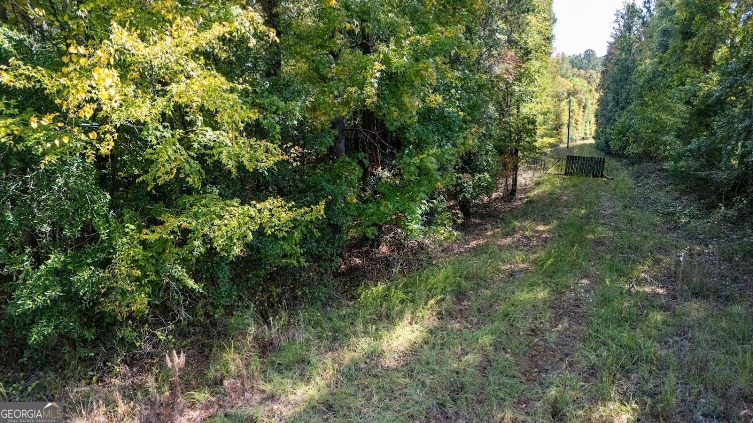 Property Photo: 194 Mountain Laurel Drive GA 31822