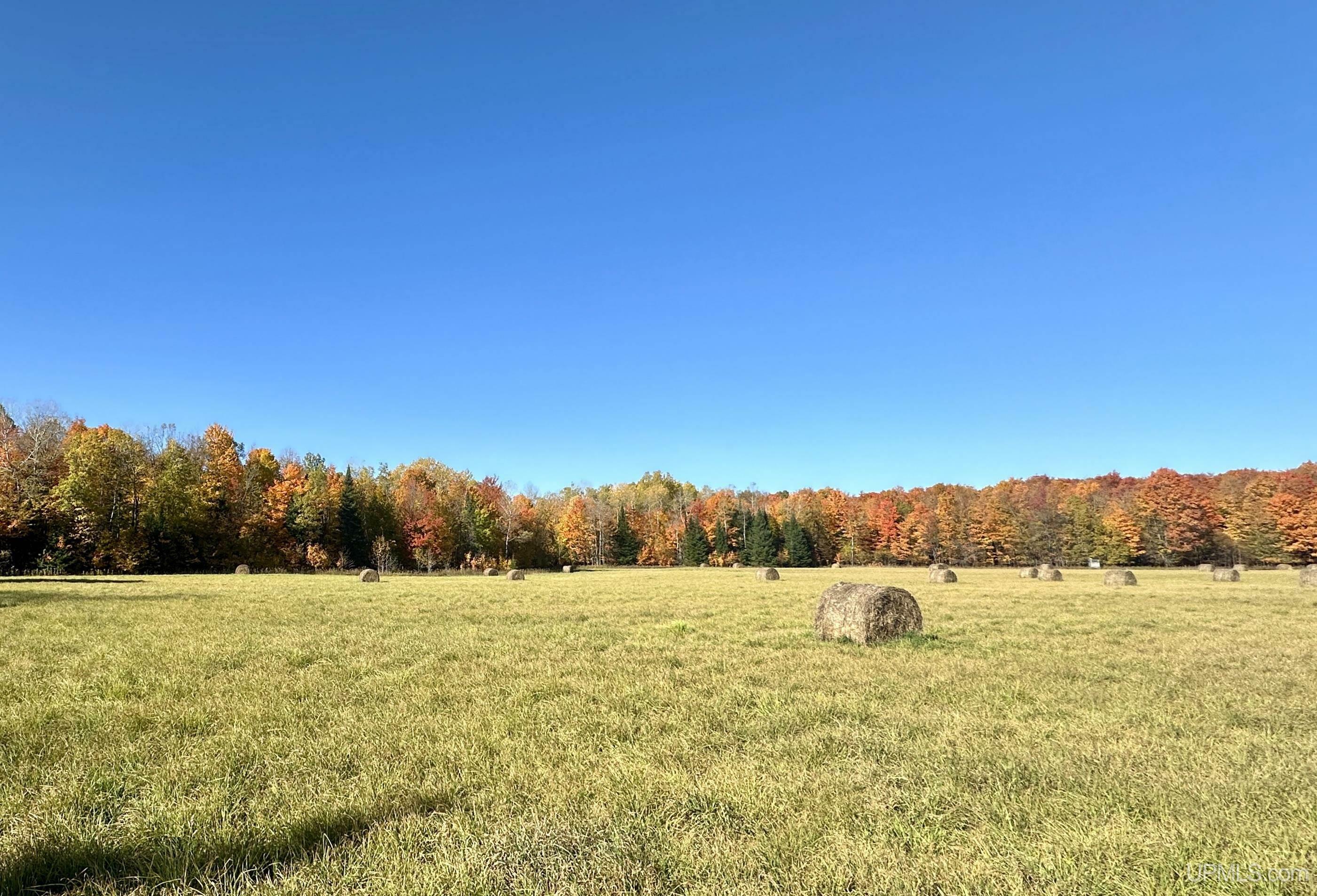 Property Photo:  Tbd Tyner Road  MI 49862 