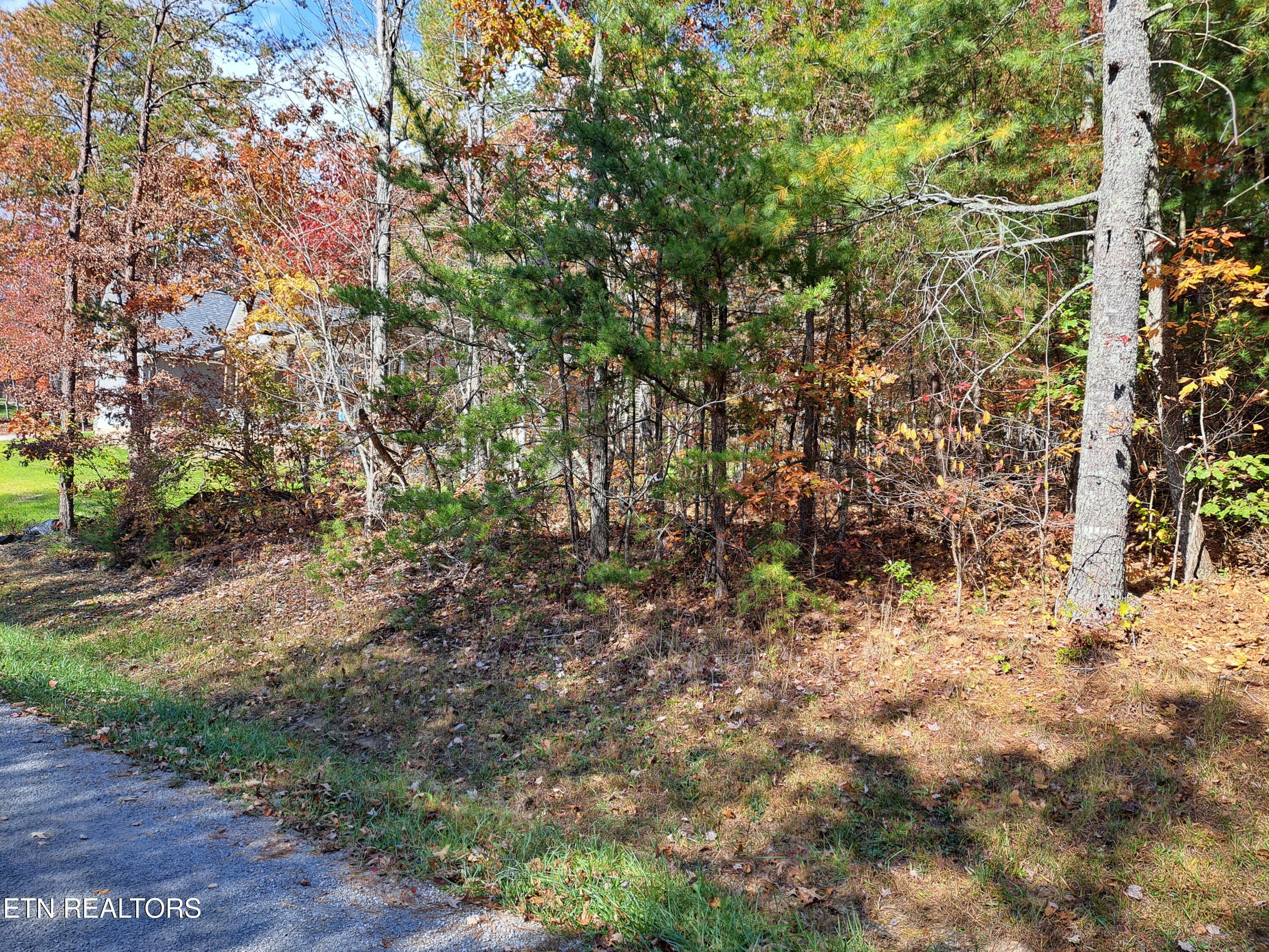 Property Photo:  131 Laswell Ln.  TN 38558 