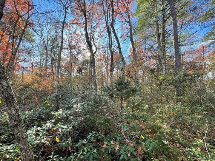 Property Photo: Lot 84 Forestburgh Road NY 12737