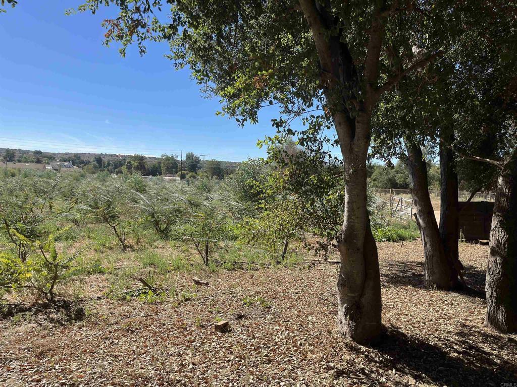 Property Photo:  13838 Hilldale Road  CA 92082 