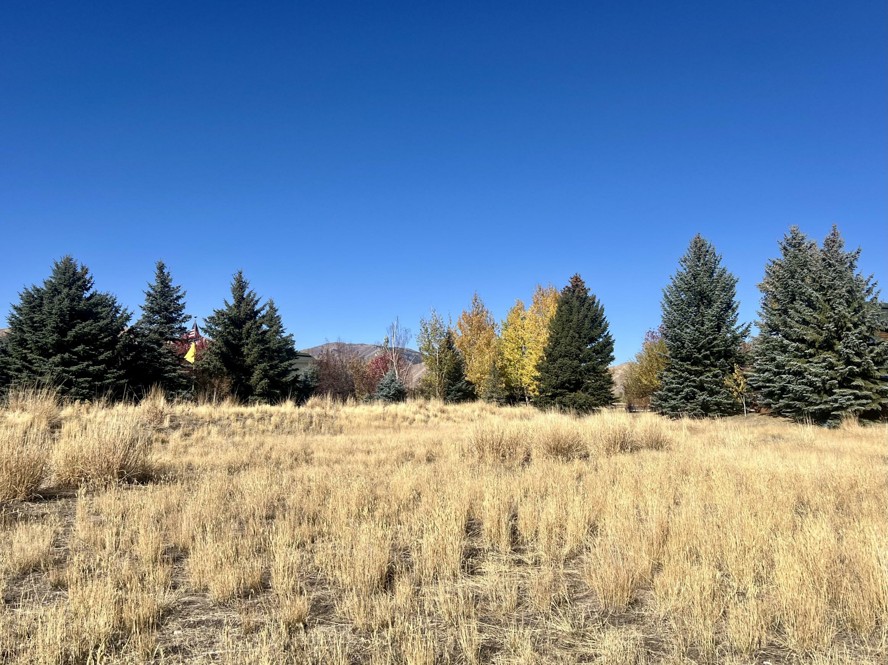 Property Photo:  190 Cloverly Lane  ID 83333 