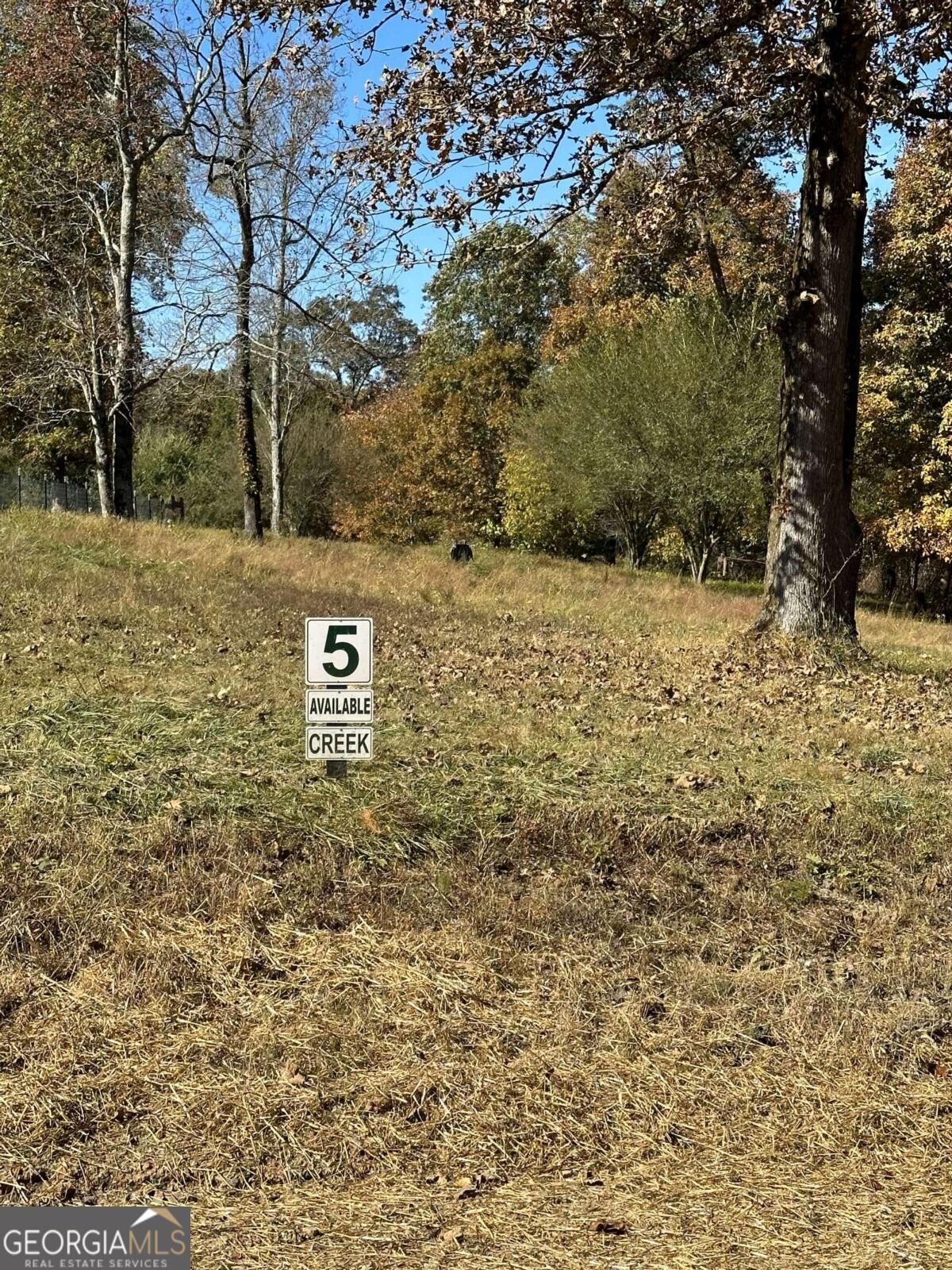 Property Photo:  Lot 5 Clear Creek Preserve Way  GA 30536 