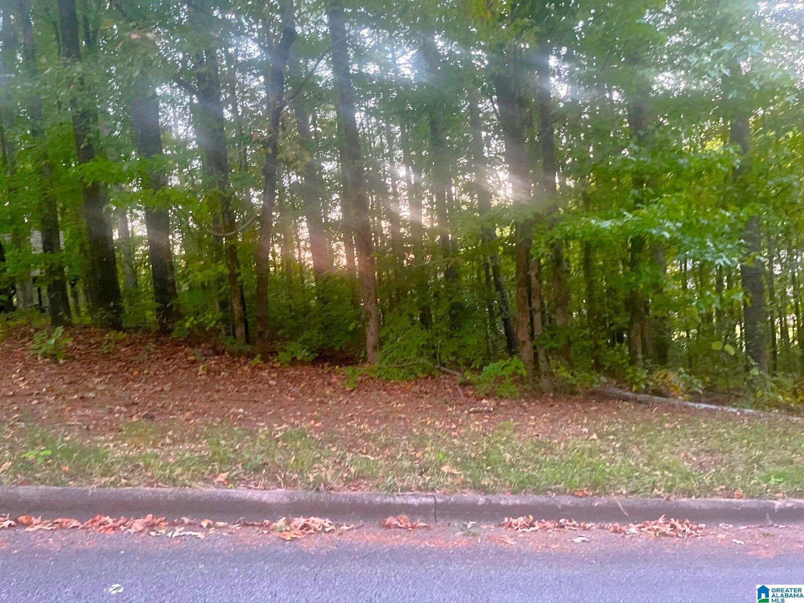 Property Photo: 6760 Old Springville Road 1 AL 35126