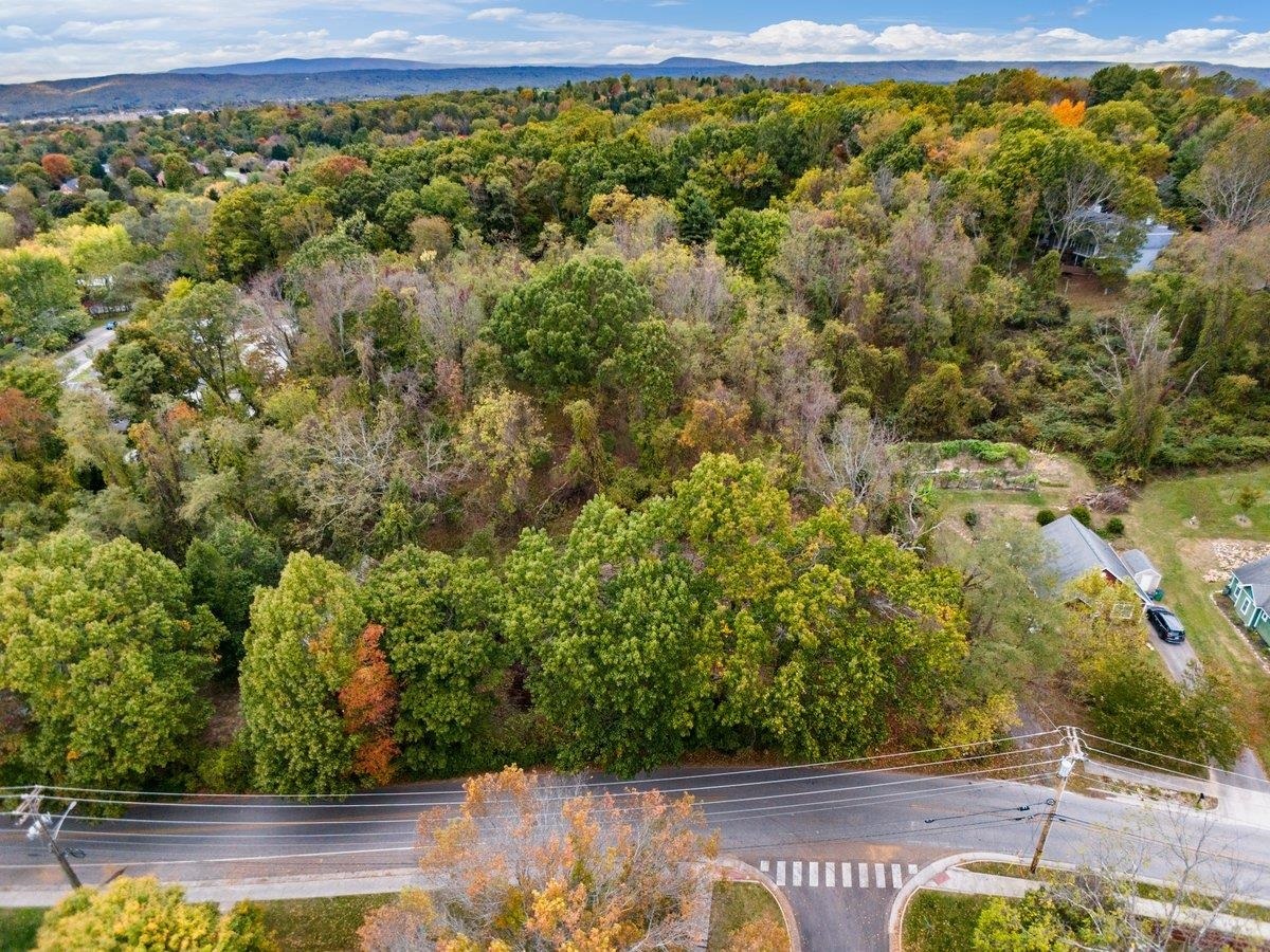 Property Photo:  507 Nellies Cave Road  VA 24060 