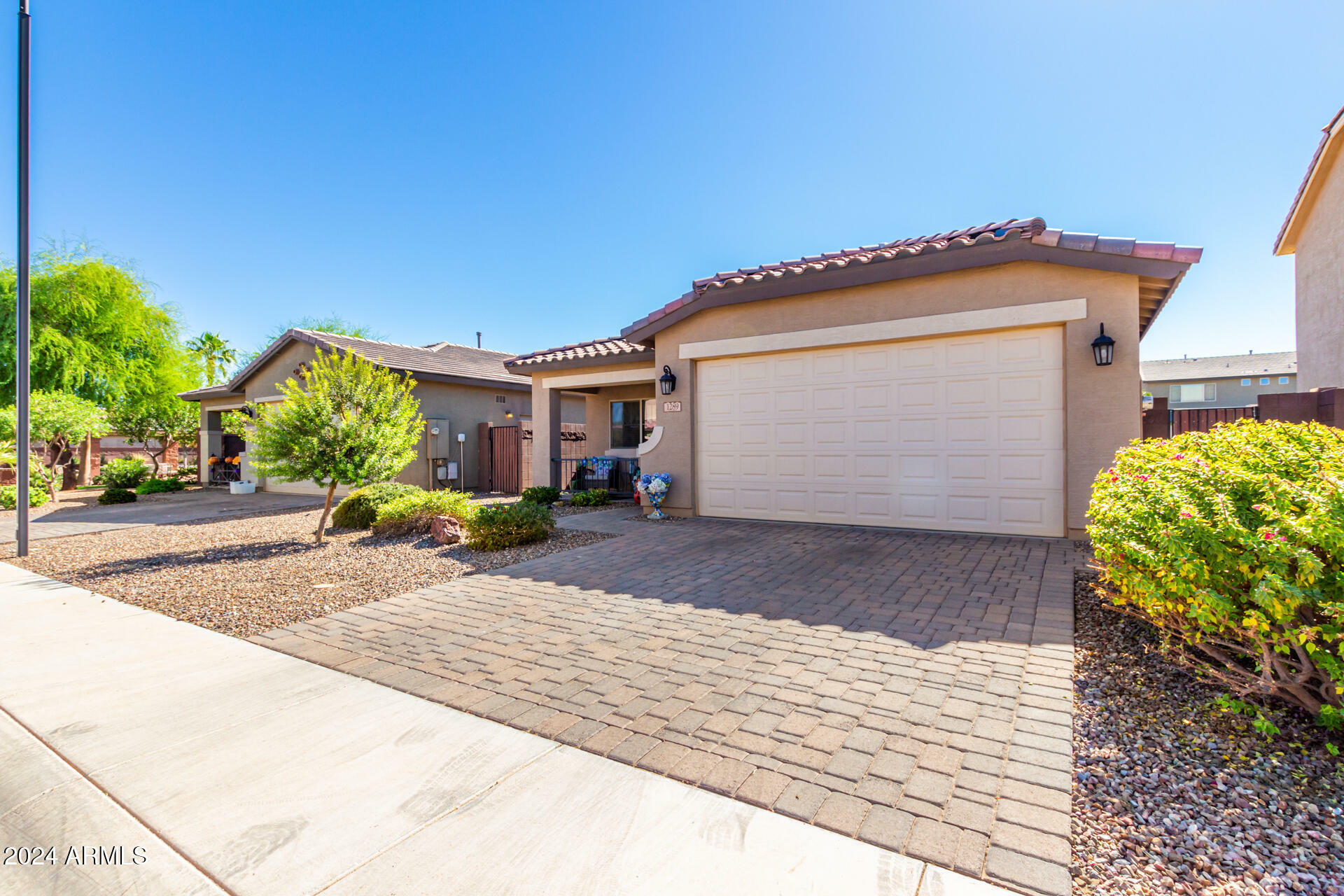 Property Photo:  1289 W Spine Tree Avenue  AZ 85140 