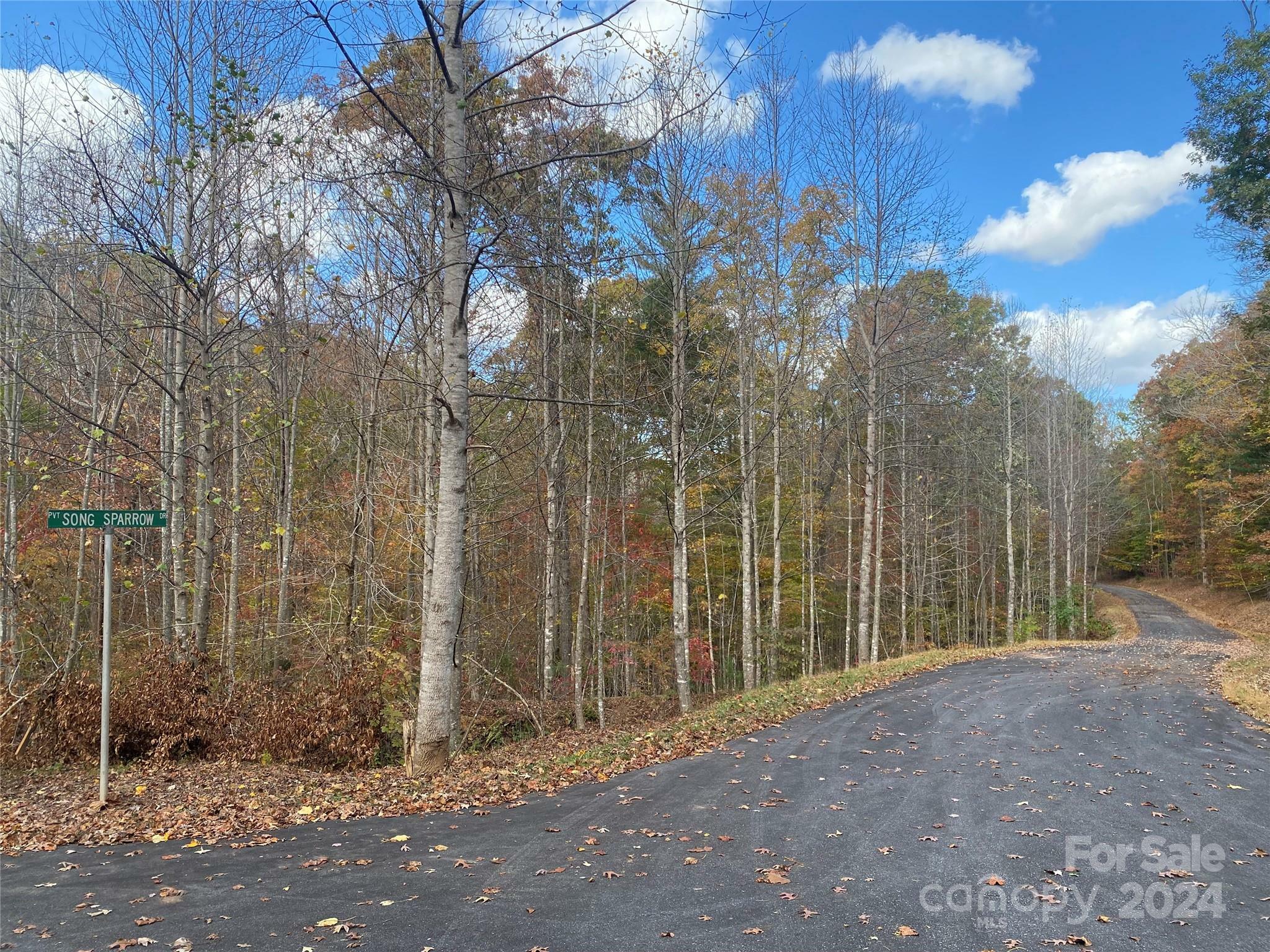 Property Photo:  Lot 15 Song Sparrow Drive  NC 28752 