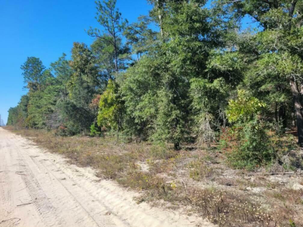 Property Photo:  Lot 1 Blk 10 Golden Rod Drive  FL 32433 