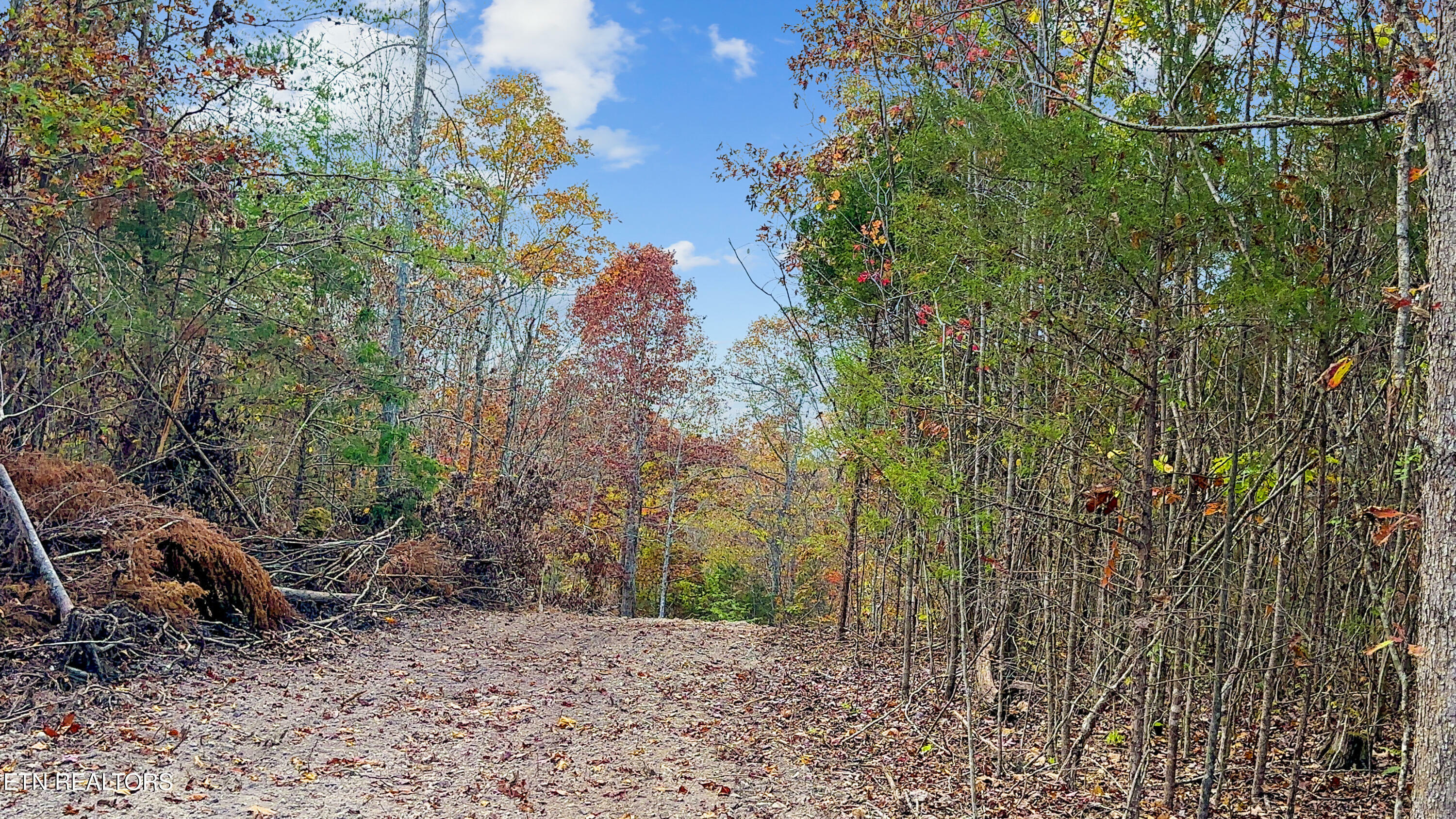 Property Photo:  598 Myers Rd  TN 37763 