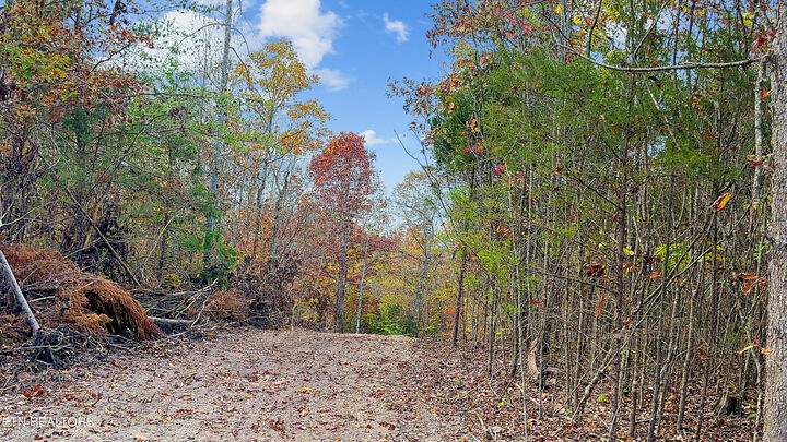 Property Photo: 598 Myers Rd TN 37763