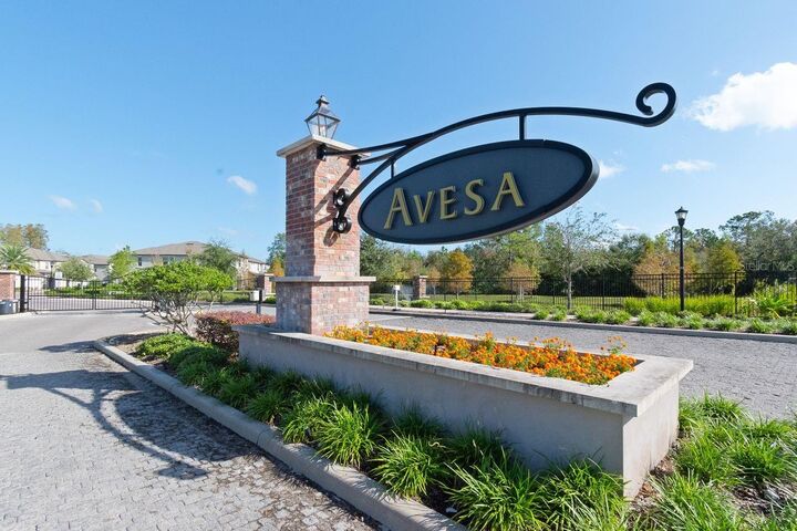 Property Photo: 10038 Corso Milano Drive FL 33625