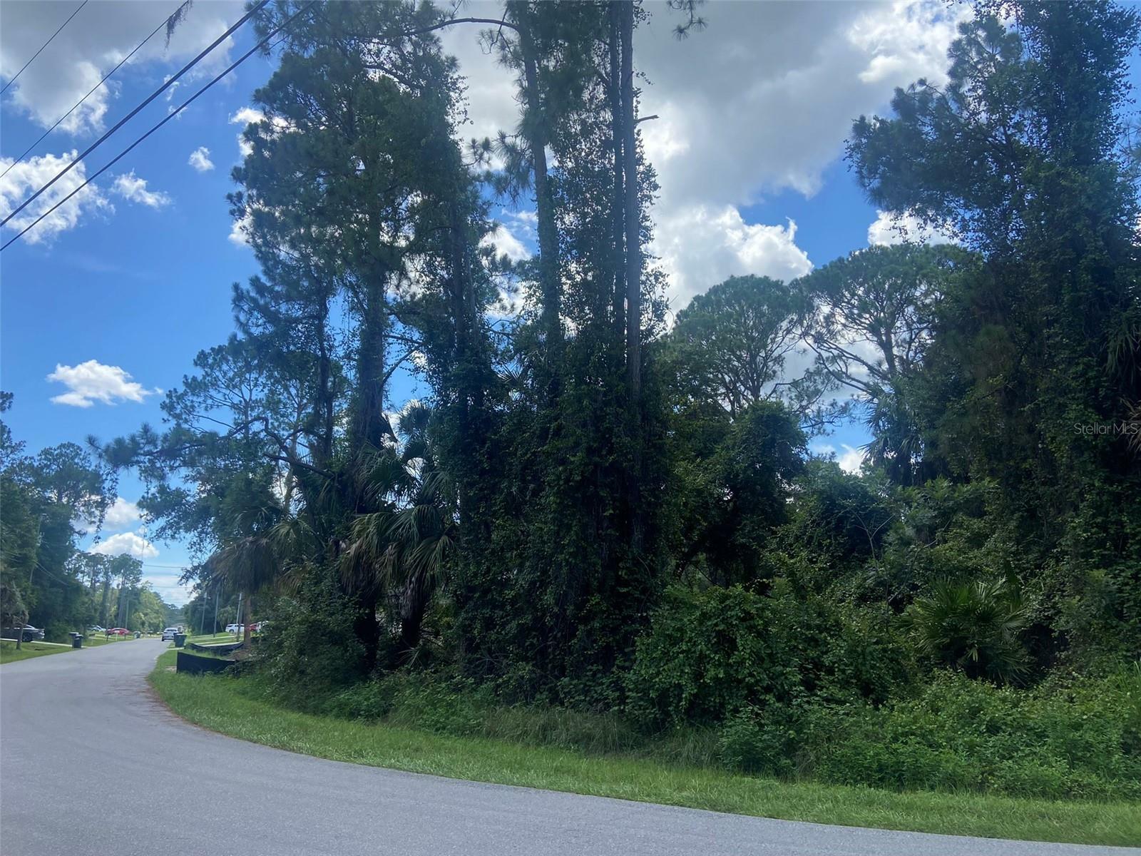 Property Photo:  Candia Avenue  FL 34286 