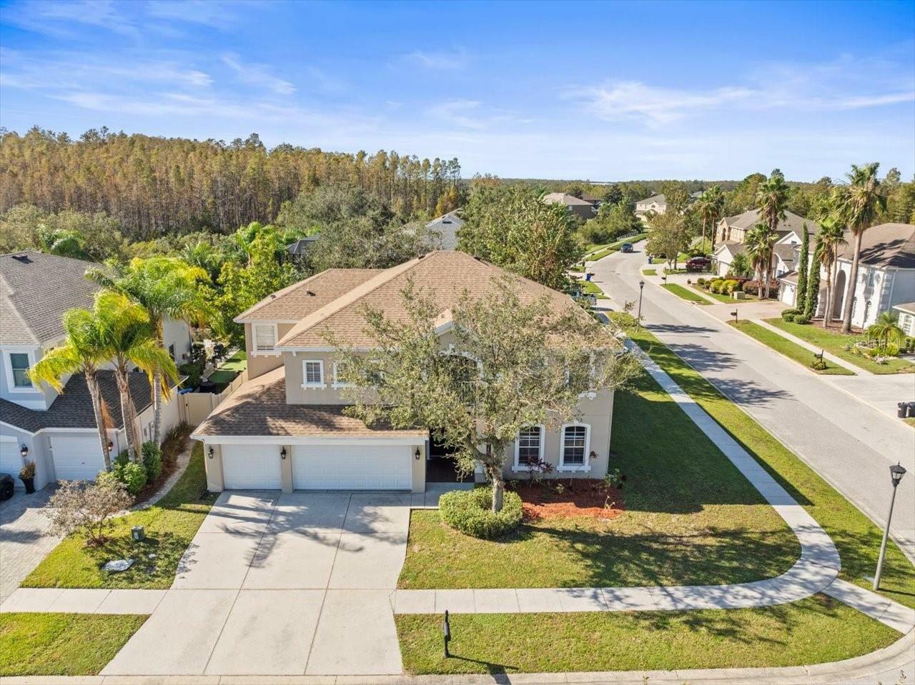 Property Photo:  17800 Souter Lane  FL 34638 