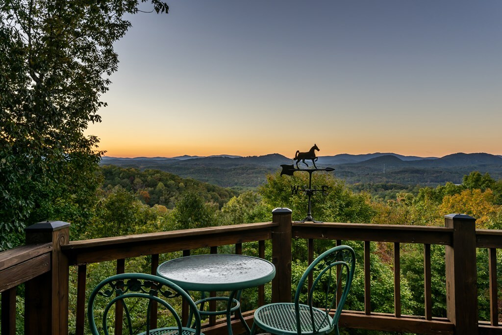 Property Photo:  750 My Mountain Road  GA 30560 