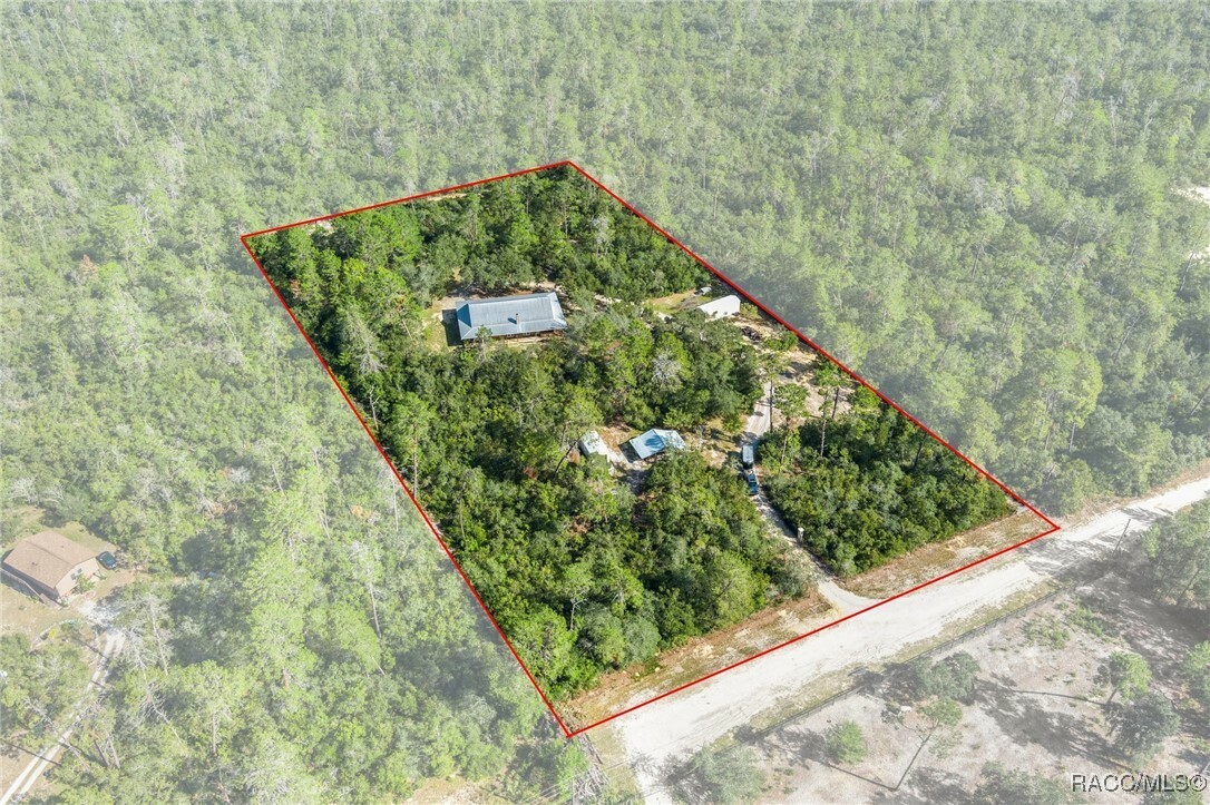 Property Photo:  4851 W Blue Indigo Lane  FL 34465 