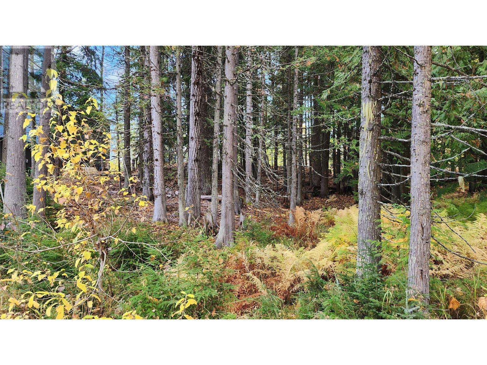 Photo de la propriété:  210 Cedar Creek Place  BC V0G 1Y0 