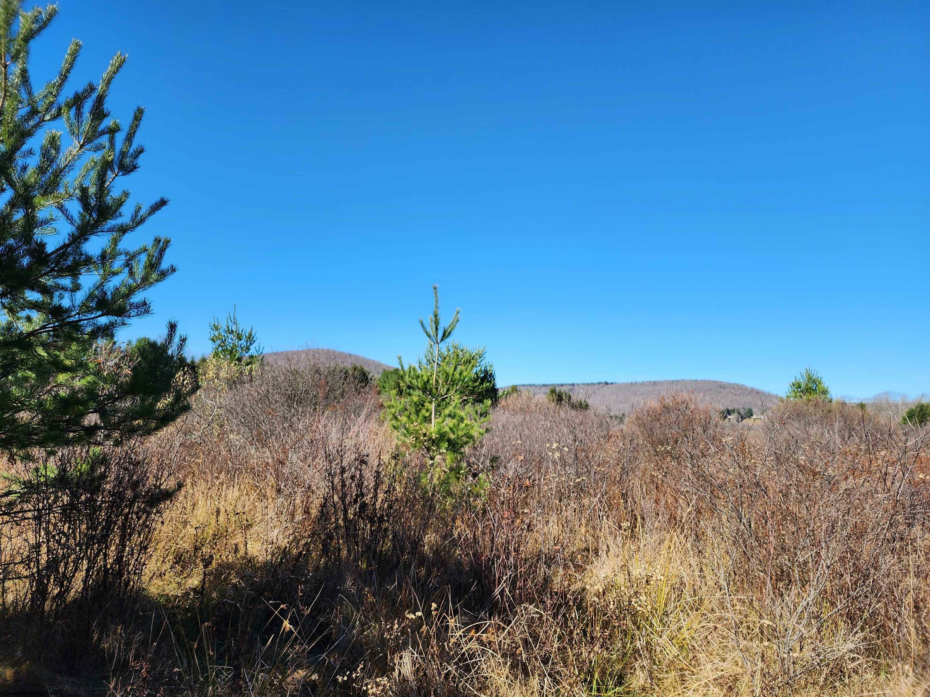 Property Photo:  Tract C Cortland Road  WV 26260 