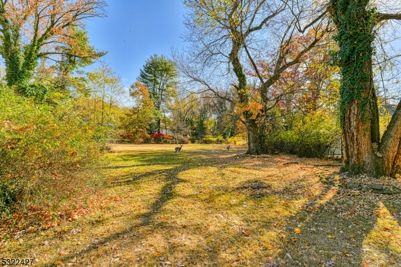 Property Photo:  0 R758-66woodland Ave  NJ 07062 